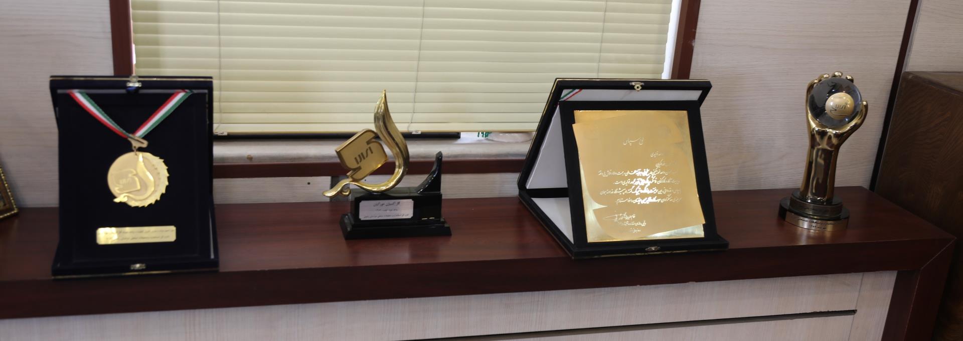 دارای دو سایت مکمل