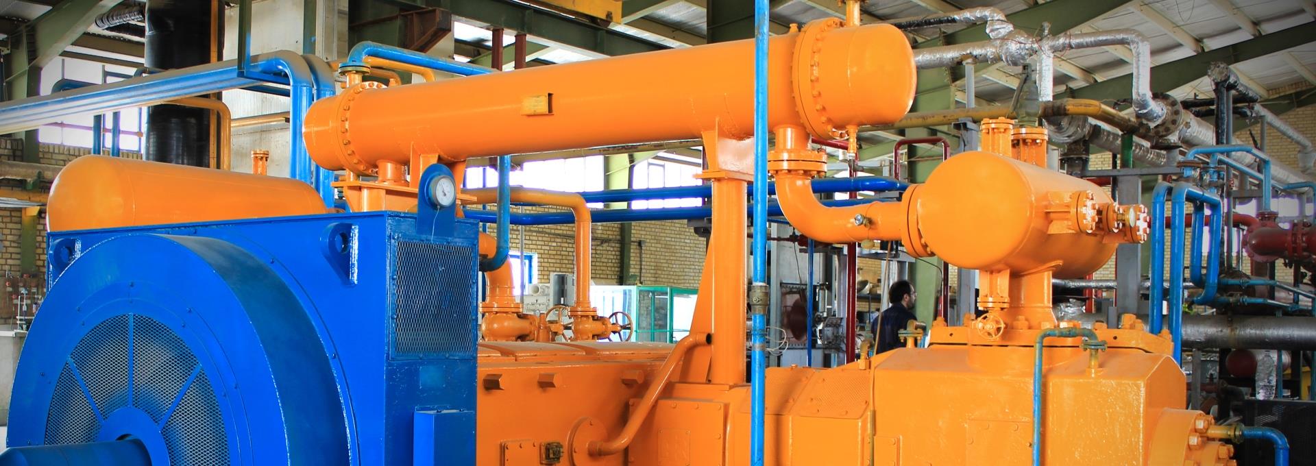 دارای دو سایت مکمل